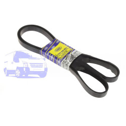 Ремінь полікліновий FORD FOCUS 1998-2005 (6PK1740 1.4/1.6 DOHC) DP GROUP ES 2025