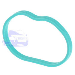 Прокладка колектора впускного FORD FIESTA/FUSION/FOCUS 2001-2012 (1.25/1.4/1.6 4ШТ) ROYAL H7 566400