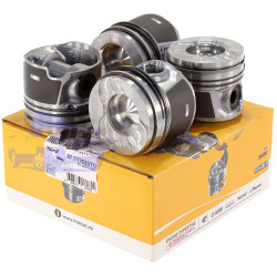 Поршень двигуна FORD FIESTA/FUSION 2001-2012 (1.4TDCI 1ШТ) NURAL  87-71782 STD