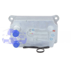 Радіатор масляний FORD TRANSIT 2000-2014 (2.4TDCI) THERMOTEC D4G005TT
