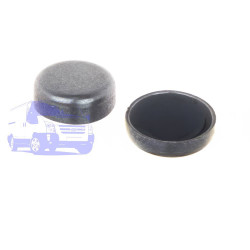 Заглушка блоку двигуна FORD (Ø20MM) DP GROUP ES 43024