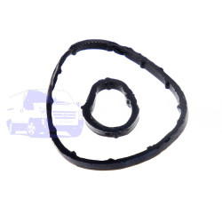 Прокладання вакуумного насоса FORD FIESTA/FUSION 2001-2012 (1.4TDCI К-кт) HMPX HMP 2S6Q 2A454 AA-TK