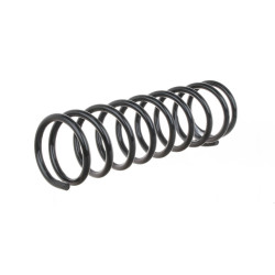 Пружина задня FORD FOCUS/C-MAX 2003-2011 DP GROUP SS 4255