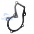 Прокладка помпи FORD FOCUS/C-MAX/KUGA/MONDEO 2008-2019 ORIGINAL 1472865