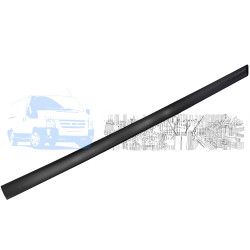 Молдинг двері передньої правої FORD FIESTA 2001-2008 (3 DOORS) BSG BSG 30-924-028