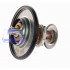 Термостат FORD TRANSIT 1988-2000 (2.5DI 60°С) DP GROUP CS 1720 60