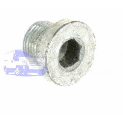 Болт слива масла FORD FOCUS/C-MAX/KUGA/MONDEO 2008-2011 DP GROUP ES 42730
