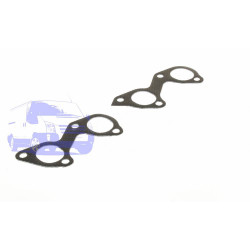 Прокладка колектора випускного FORD CONNECT/FOCUS/ESCORT/MONDEO/FIESTA (1.8TDCI) ARI-IS AR 705