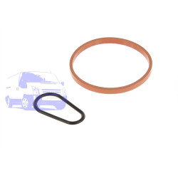 Прокладання вакуумного насоса FORD 1.4TDCI/1.5TDCI/1.6TDCI (2ШТ Комплект) DP GROUP BS 44454