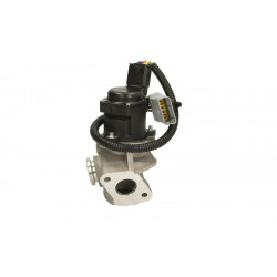 Клапани повернення відпрацьованих газів FORD FOCUS/C-MAX 2003-2007 (1.6TDCI) DELPHI EG10434-12B1