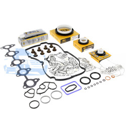 Набір прокладок ГБЦ FORD FIESTA/FUSION 2001-2012 (1.4TDCI) SKT 4C-010-10