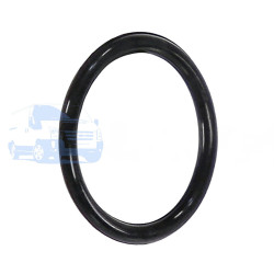 Кільце ущільнювальне редуктора FORD TRANSIT 2000-2006 ORIGINAL 3965377
